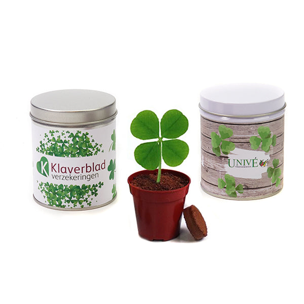 Klavertje vier in blik