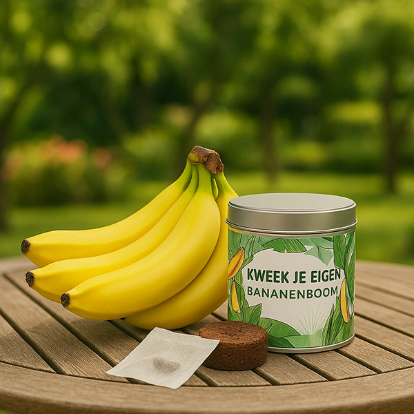 Sfeerfoto bananenkweekset