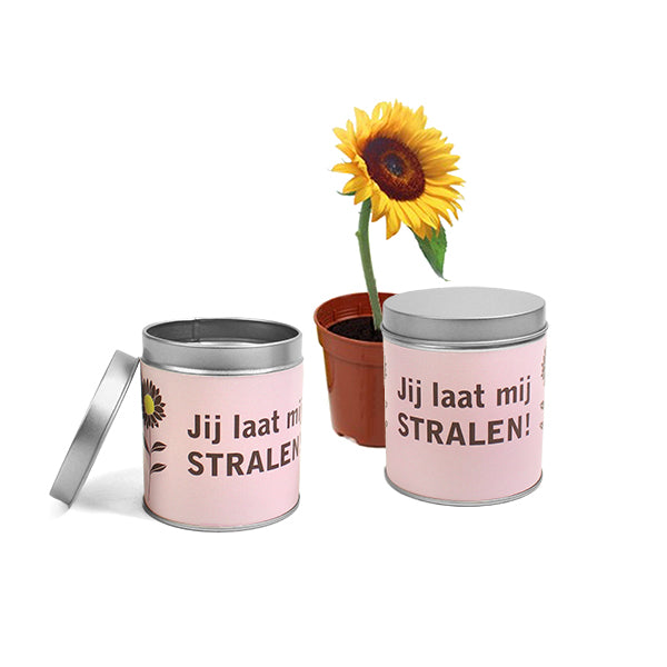 Bedrukt blik zonnebloempot